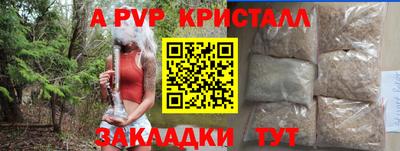 гашик Донецк