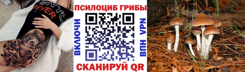 Галлюциногенные грибы мицелий  это состав  Кунгур 