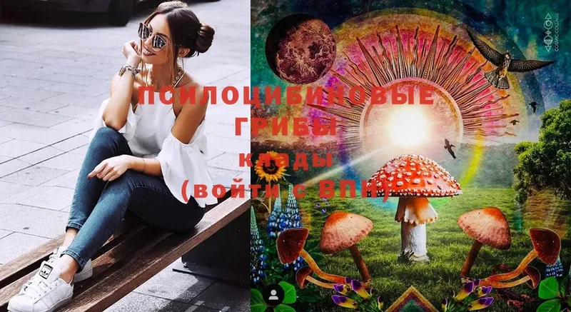 Псилоцибиновые грибы Cubensis  Кунгур 