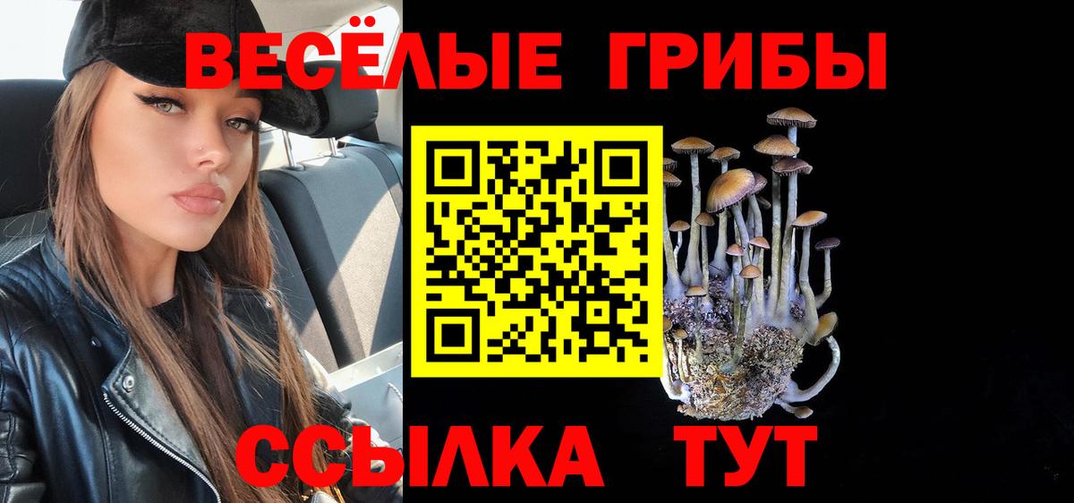 Галлюциногенные грибы мицелий Кунгур