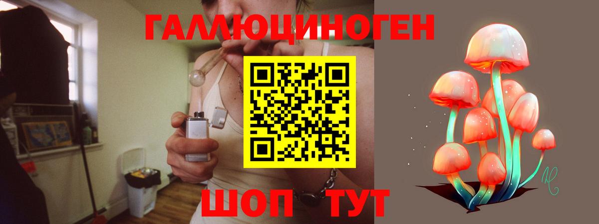 Галлюциногенные грибы Cubensis  Вход с VPN  Псилоцибиновые грибы MAGIC MUSHROOMS  Кунгур 